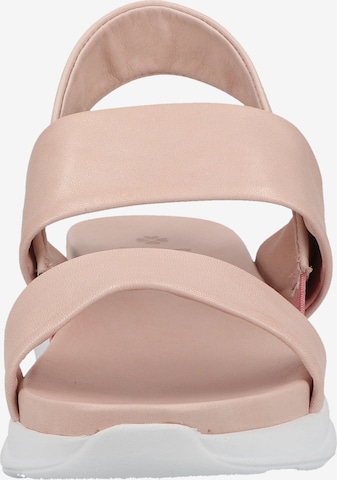 ILC Sandalen met riem in Roze