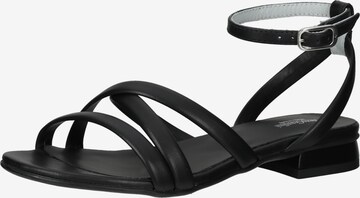 Nero Giardini Strap Sandals in Black: front