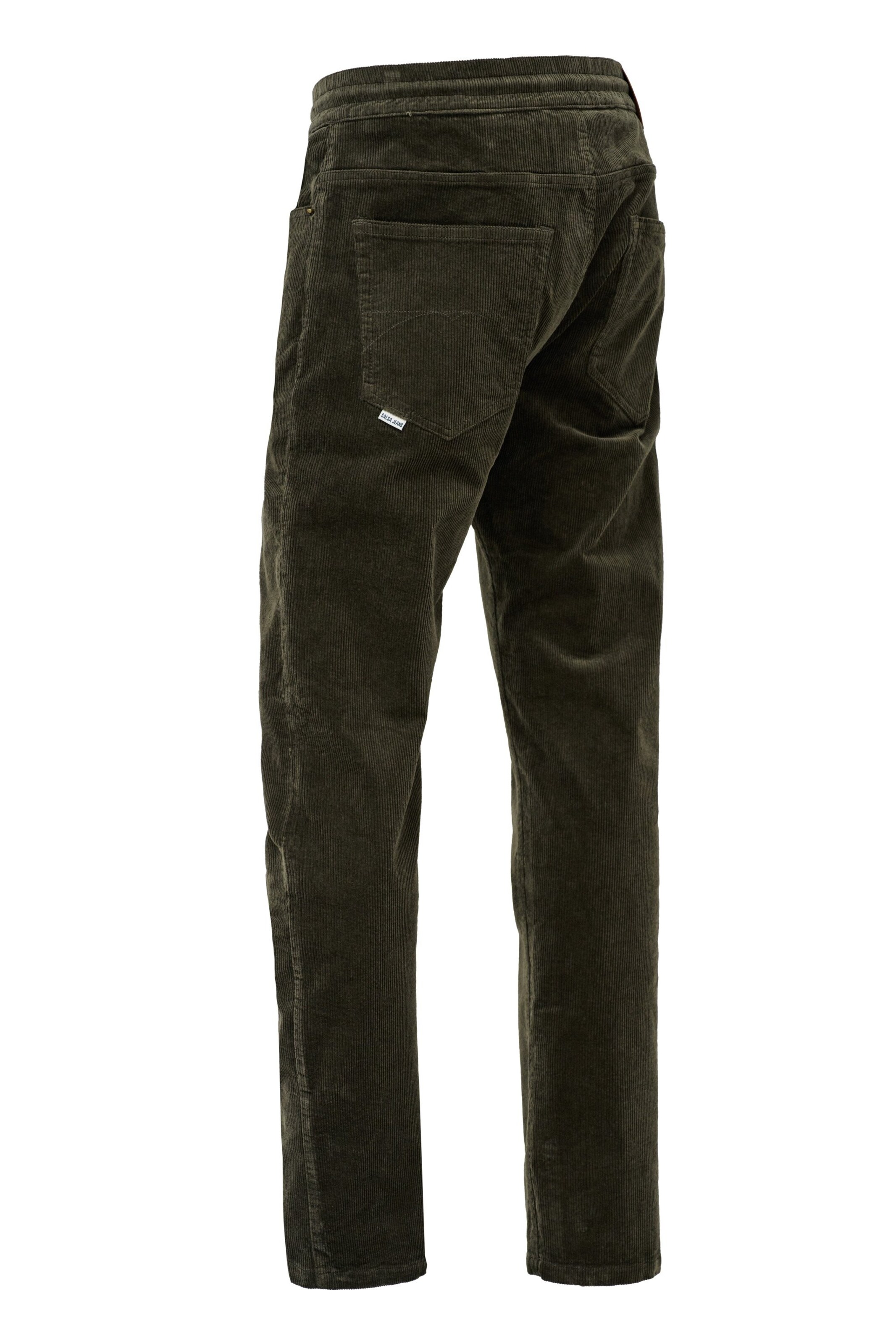 Salsa Jeans Regular Chino in Groen