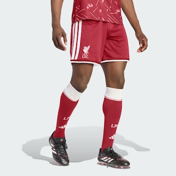 ADIDAS PERFORMANCE - regular Pantalón deportivo 'FC Liverpool 26/27' en rojo: frente