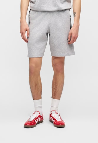 ADIDAS ORIGINALS Loose fit Trousers 'Spacer Teamgeist 26' in Grey: front