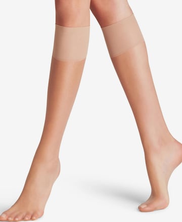 FALKE Overknee Strümpfe 'Shelina' in Gold: Vorderseite