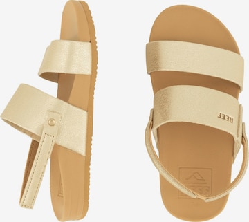 REEF Sandals 'Cushion Vista' in Beige