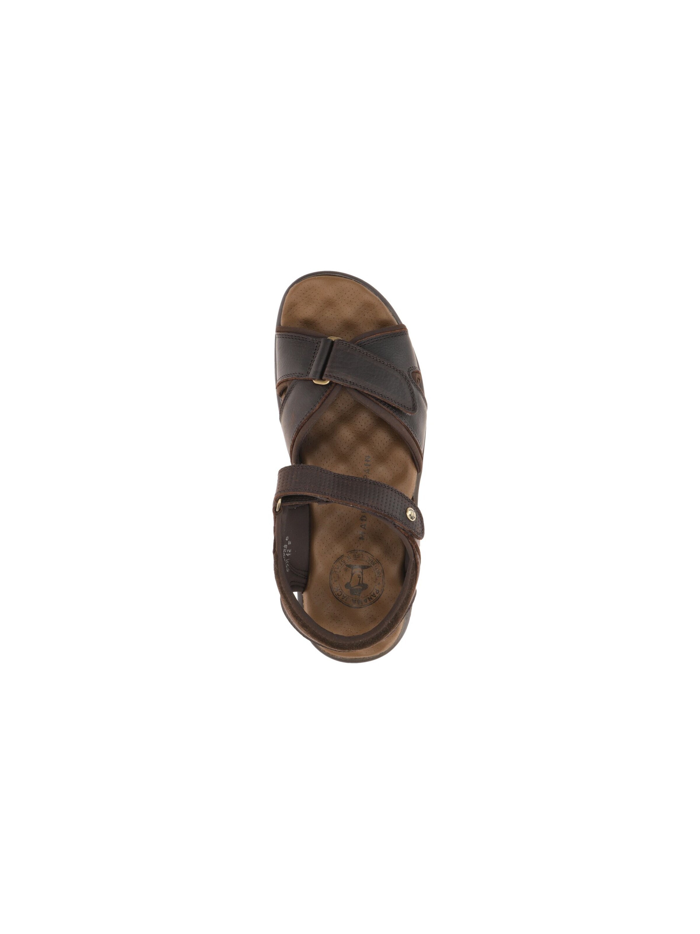PANAMA JACK Sandals 'Jack' in Brown