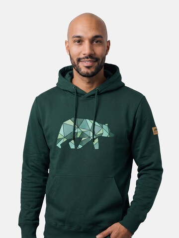 FORSBERG Sweatshirt 'Kvistson Hoodie' in Green: front