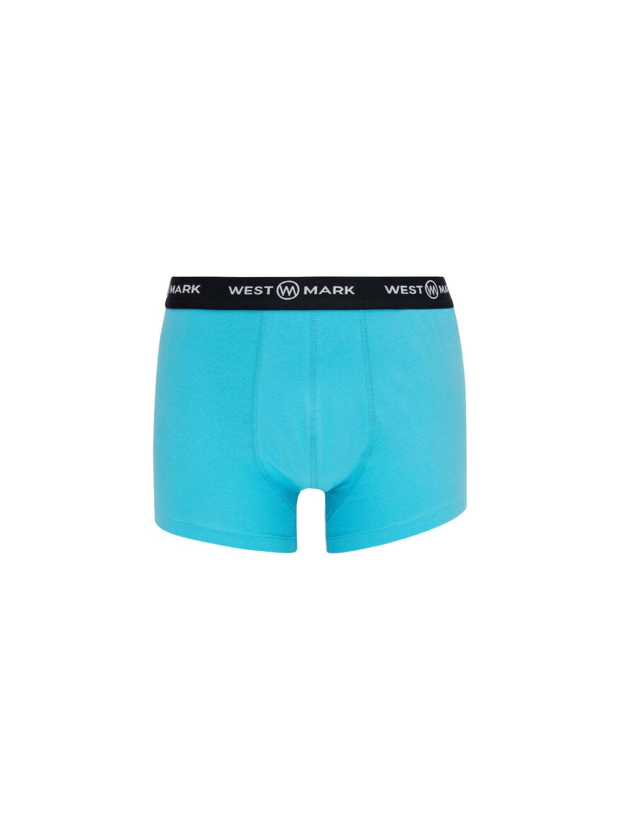 WESTMARK LONDON Boxershorts 'Oscar' in Blauw