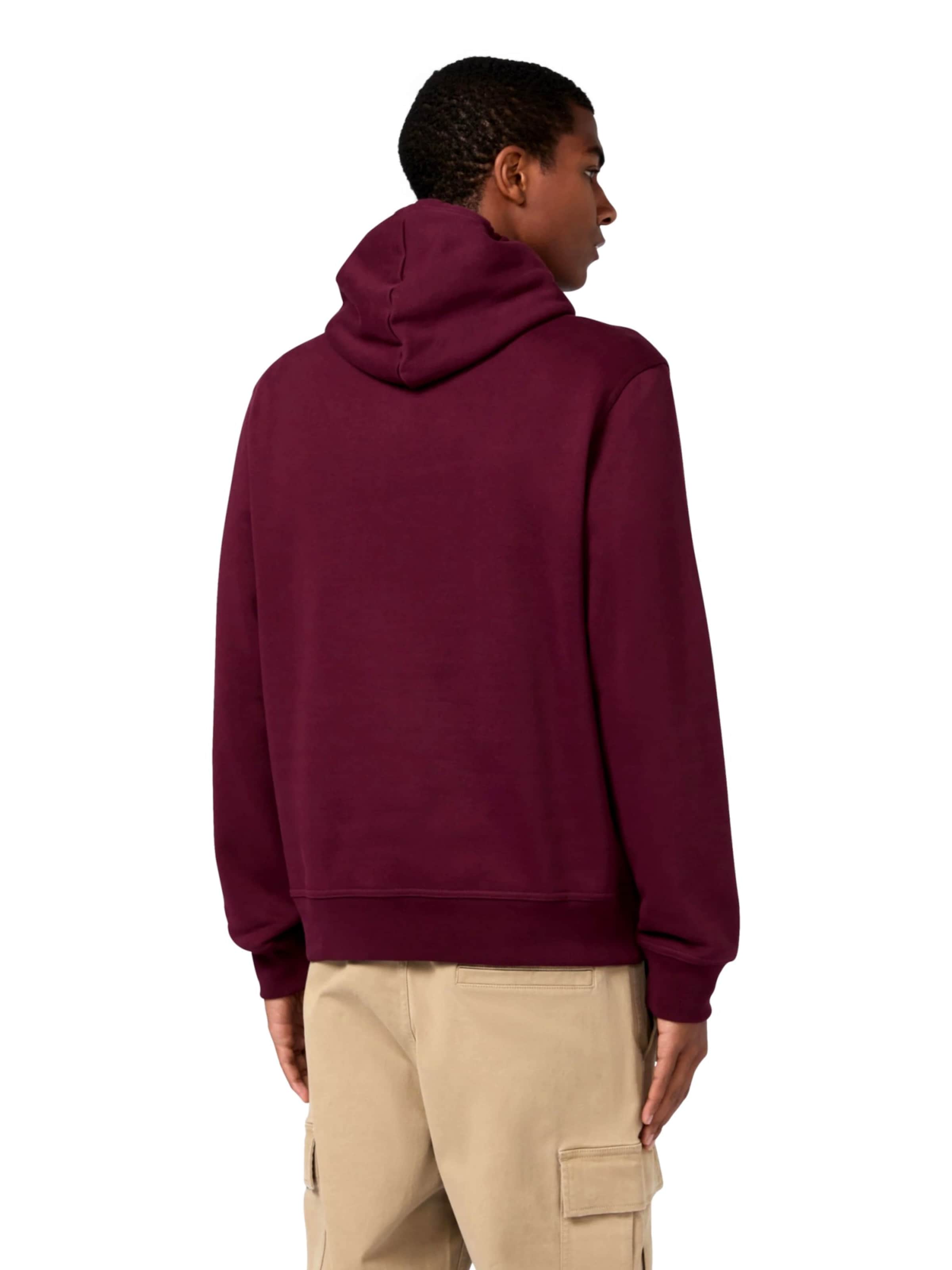 Champion Authentic Athletic Apparel Sweater in Red
