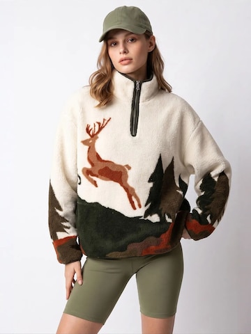 MixRaySweater majica 'Sweatshirts' - miks boja boja