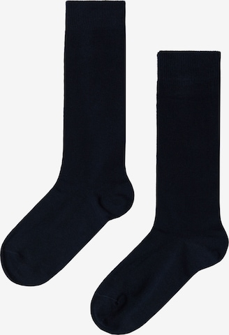 CALZEDONIA Socke in Blau: predná strana