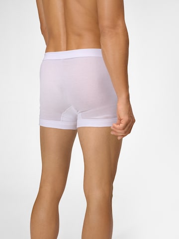 Ammann Boxer shorts ' Organic Feinripp ' in White