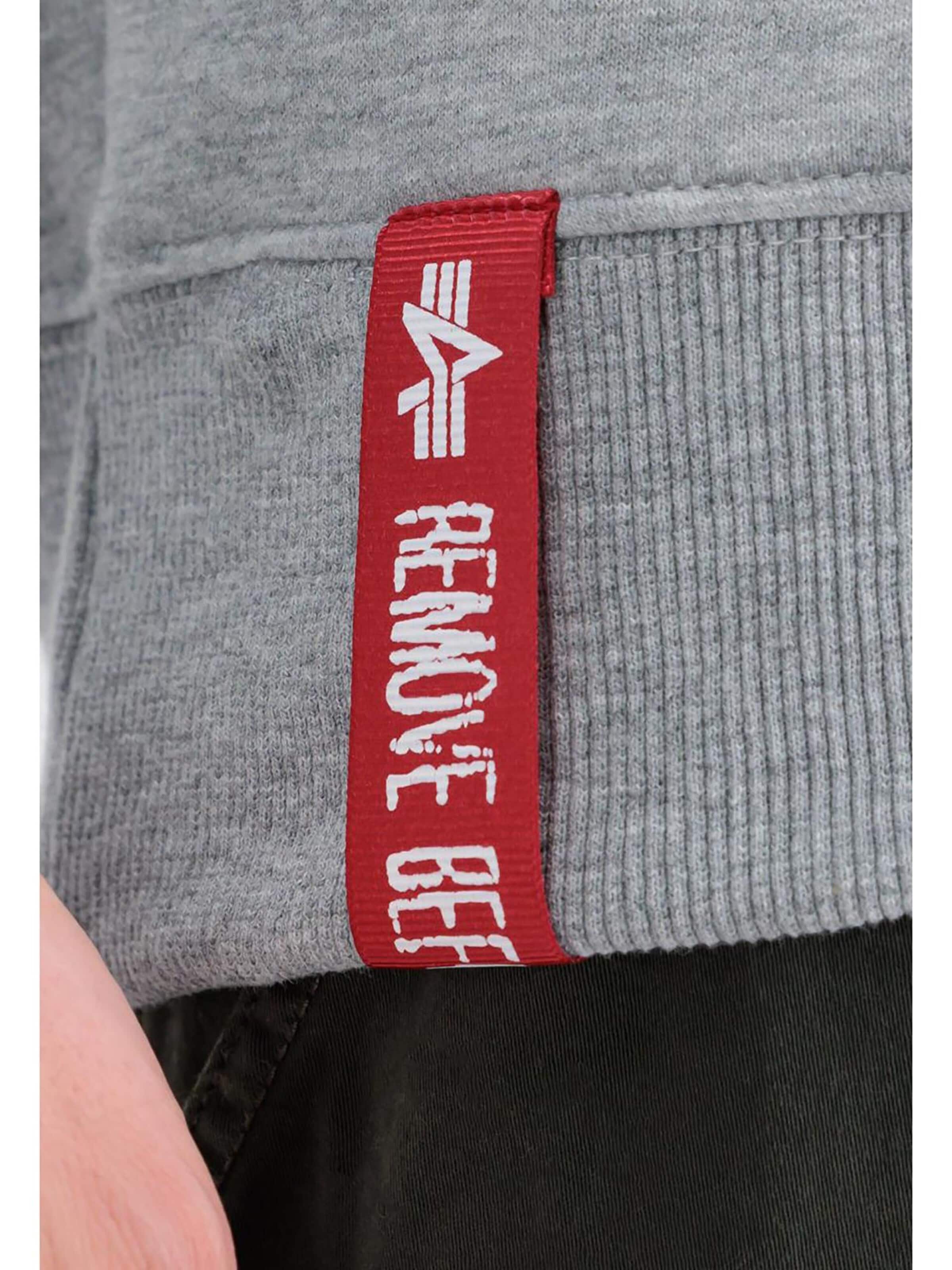 ALPHA INDUSTRIES Bluzka sportowa w kolorze szary