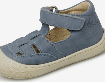 NATURINO Offene Schuhe 'WAD' in Blau: Vorderseite