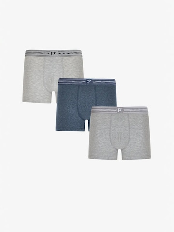 Penti Boxershorts 'PENTI Herren Shades Boxer'‌‌‌‌‌‌‌‌ in Mischfarben: Vorderseite