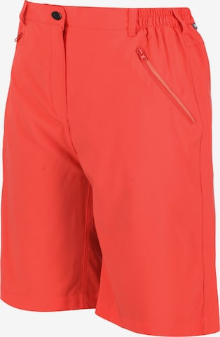 REGATTA Regular Outdoorshorts 'Xert It' in Orange