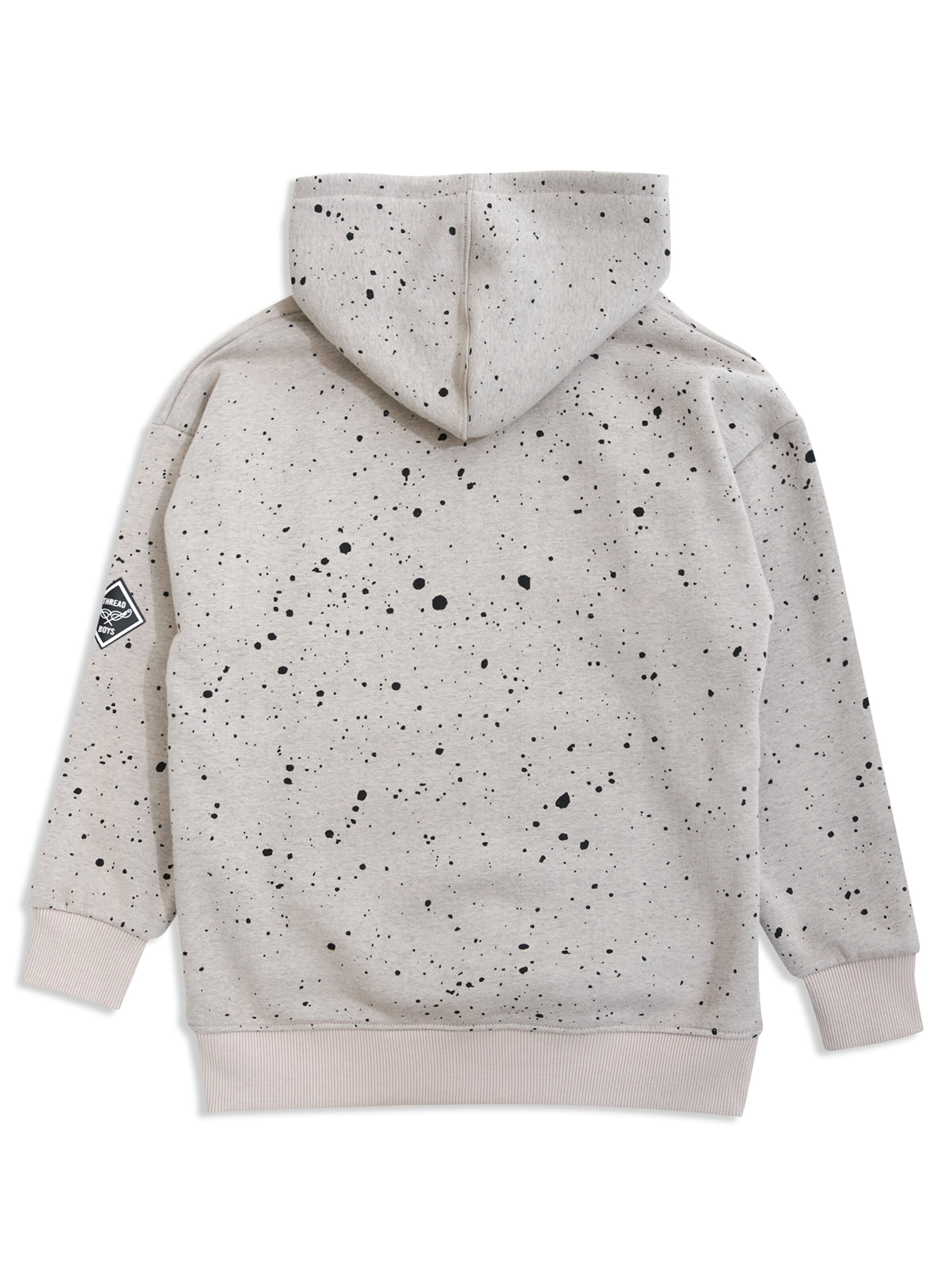 Threadboys Sweatshirt 'Minnesota' in Grey