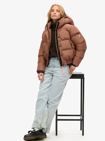 Veste d’hiver Superdry en marron