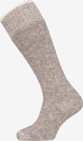 HomeOfSocks Kniestrümpfe 'HOSK953' in Grau: Vorderseite