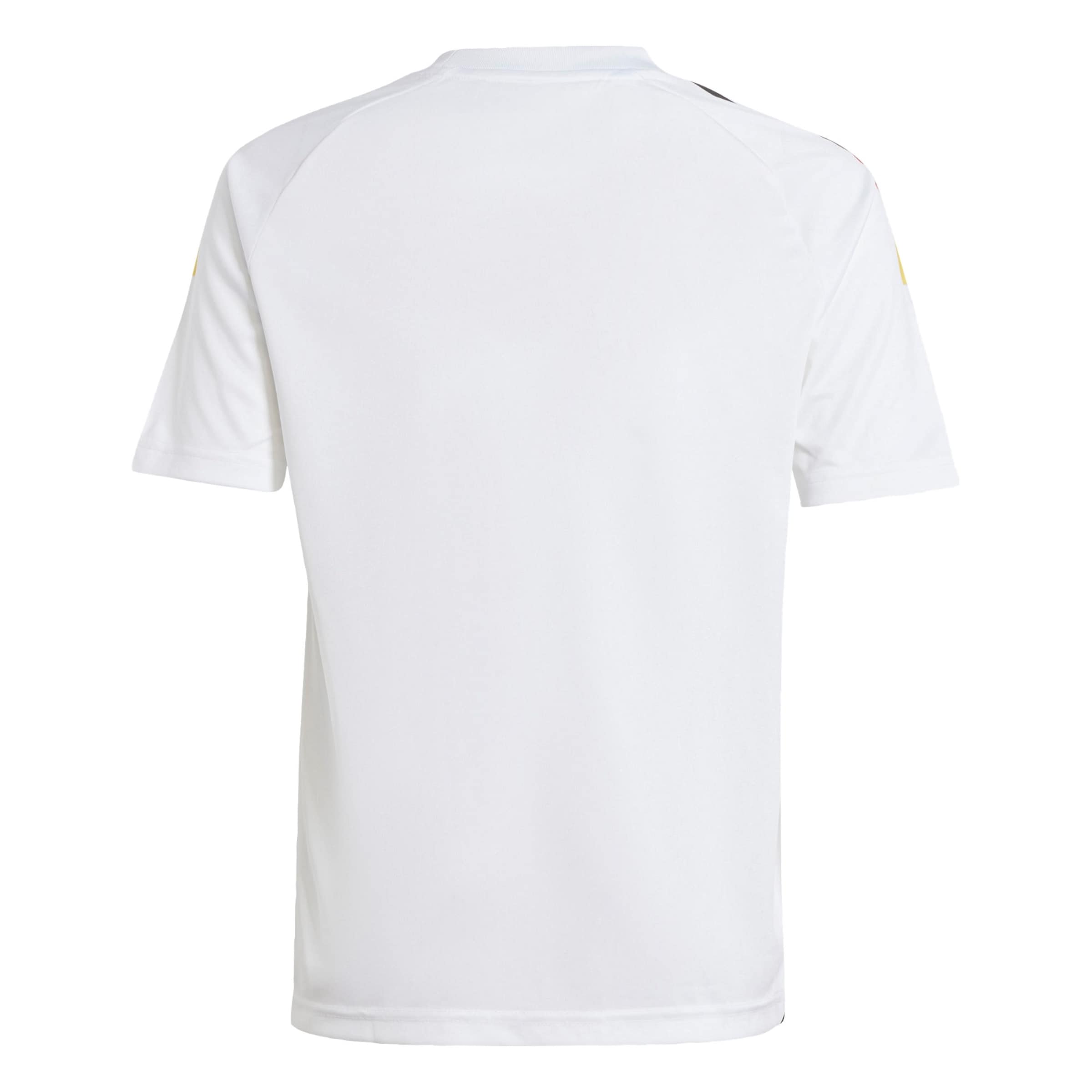 ADIDAS PERFORMANCE Performance Shirt 'DFB 24 Fan' in White