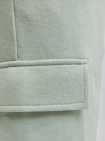 JJ Rebel Štandardný strih Kapsáče 'JREBGORM' - Sivá