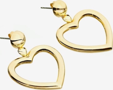 Chiara Ferragni Earrings in Gold: front