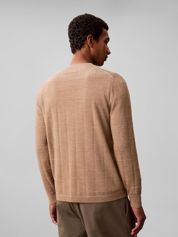 Calvin Klein Sweater in Brown