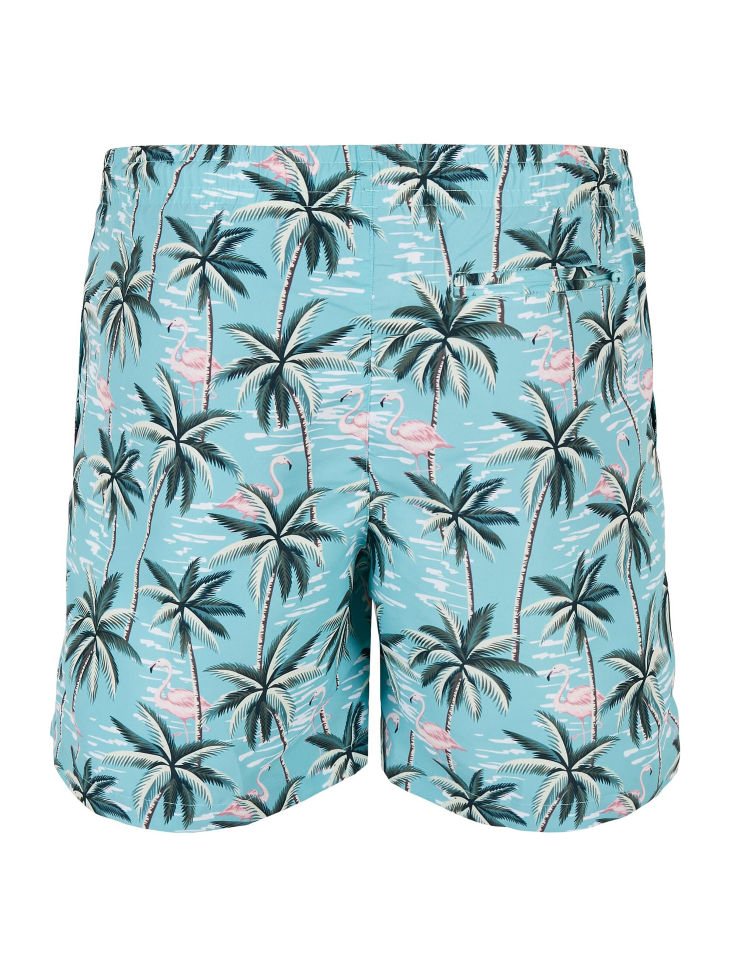 Urban Classics Шорти за плуване в синьо