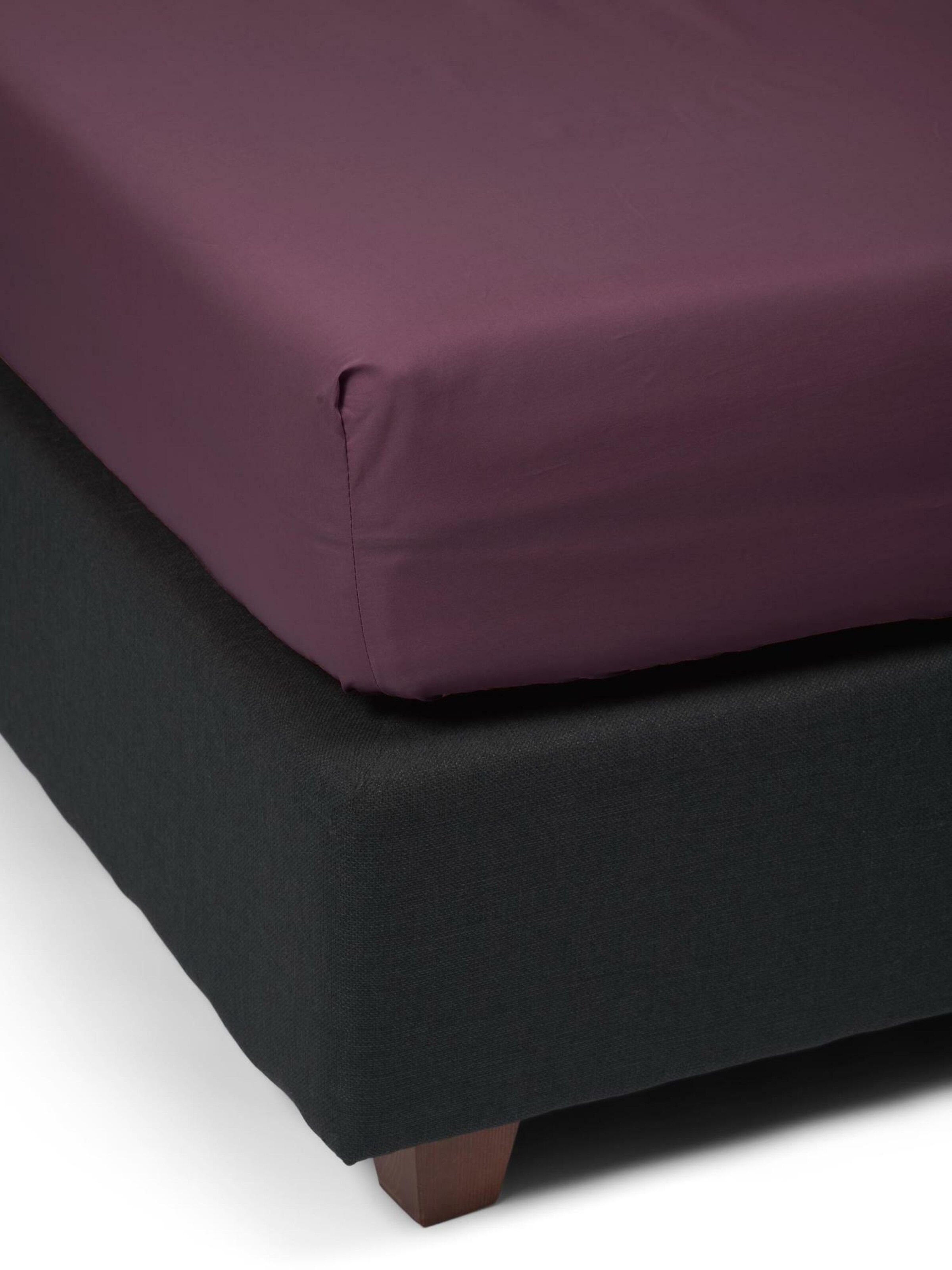 ESSENZA Bed Sheet in Purple