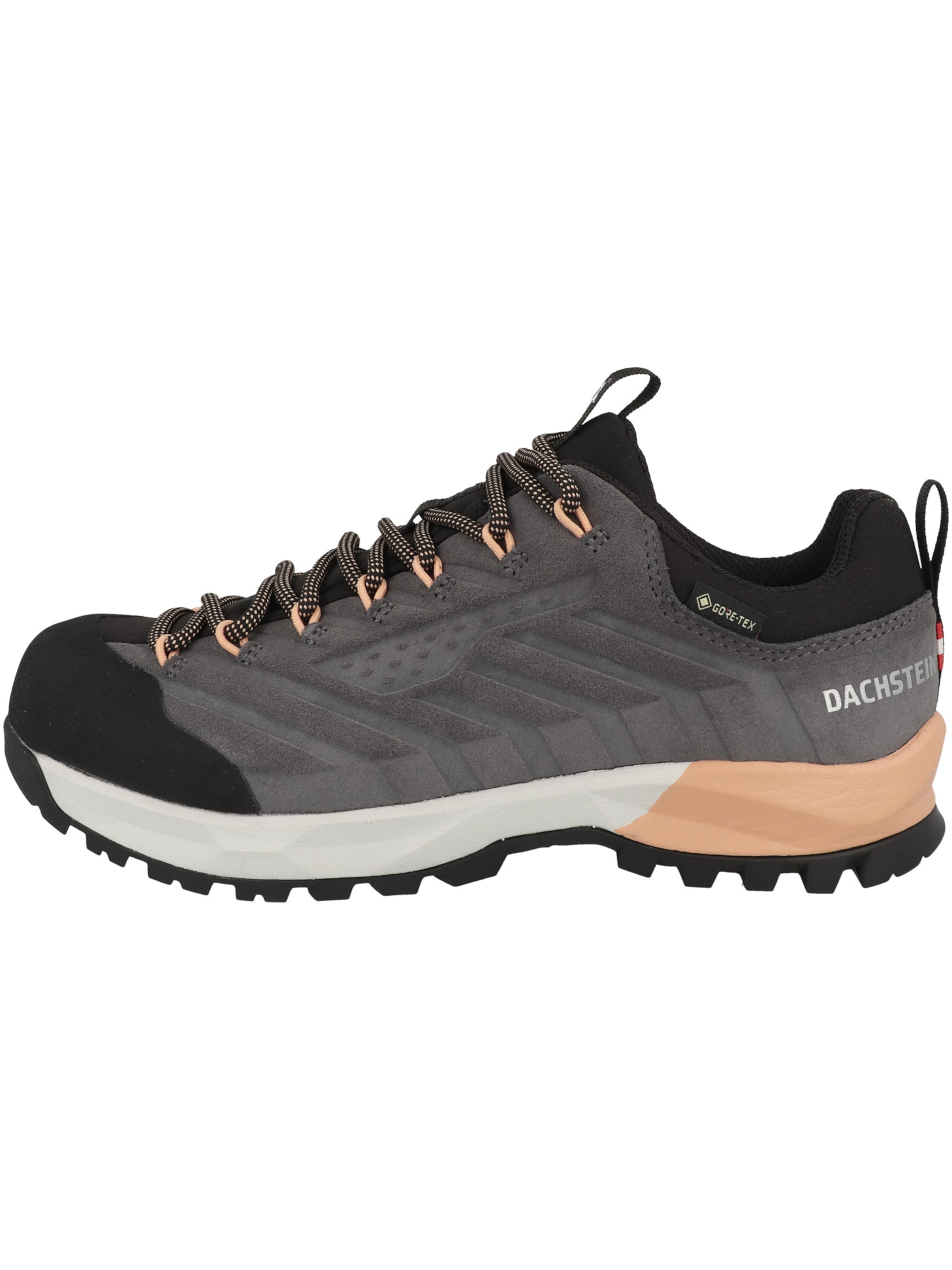 Scarpa bassa 'Sf-21 Gtx' di Dachstein in grigio