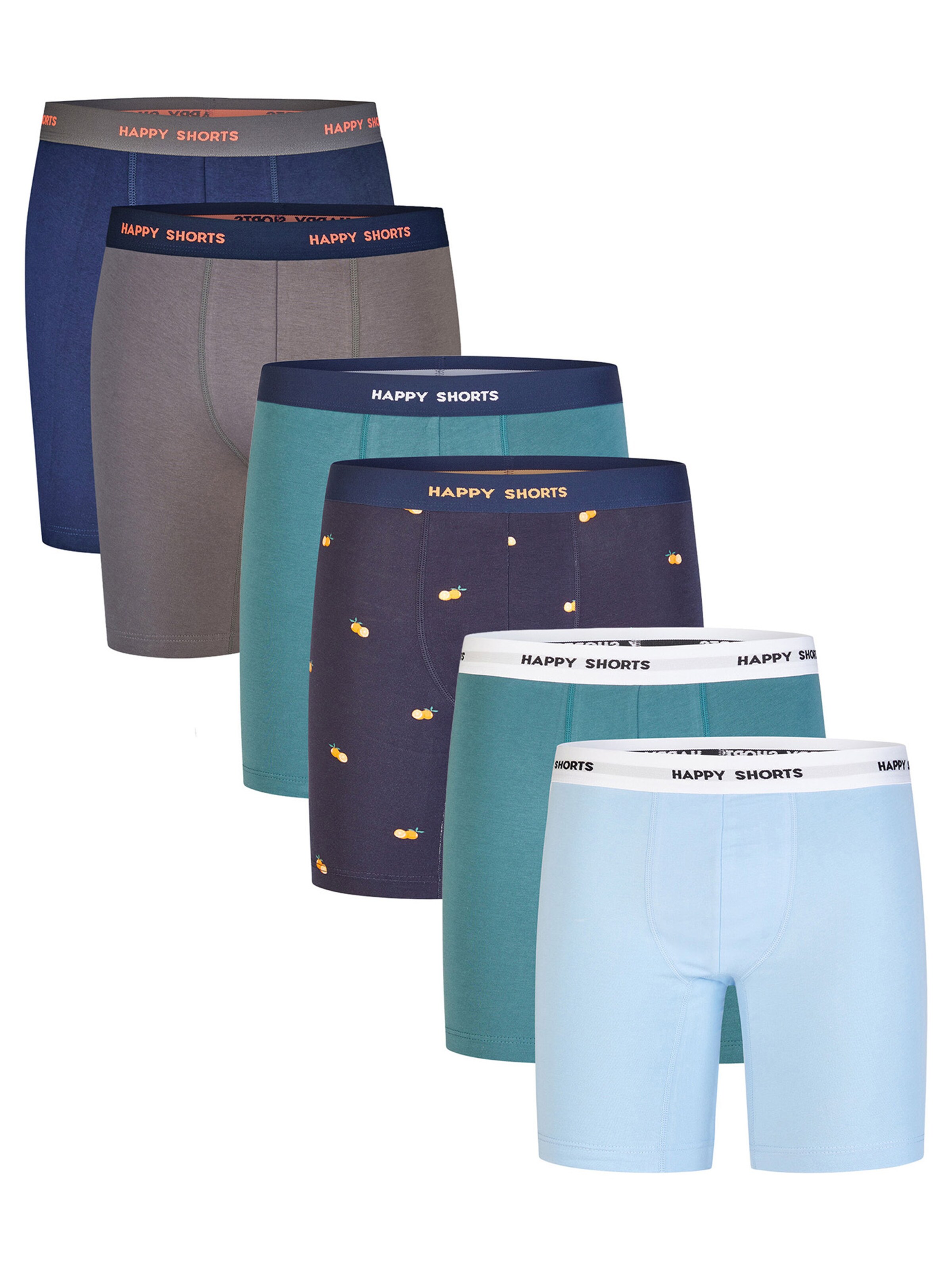 Happy Shorts Langer Boxer ' Prints ' in L in grau, Produktansicht