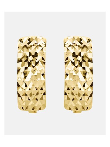 Boucles d'oreilles 'Ohrringe aus 585 Gelbgold' DIAMANT LETERNEL en or