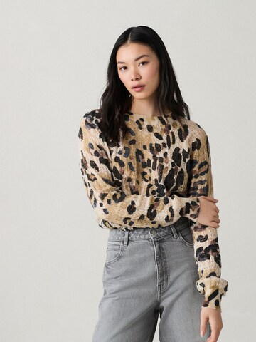 Next Sweater in Mixed colors