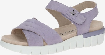 CAPRICE Strap Sandals in Purple: front