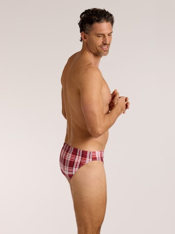 wavebreaker Swim Trunks in Red