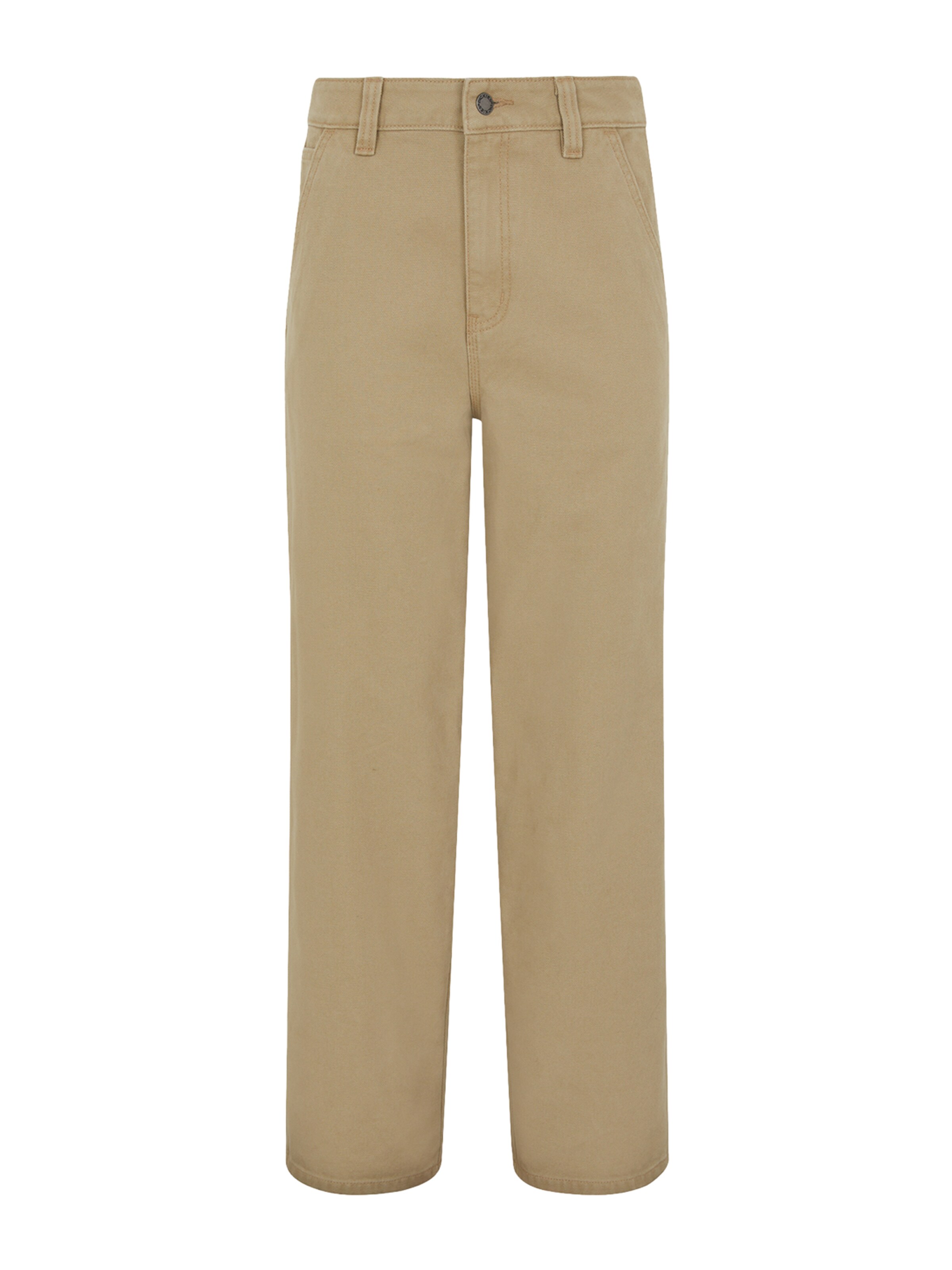 DICKIES Voľný strih Kapsáče - Béžová: predná strana