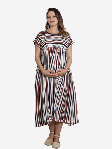 Nikka Place Kleid 'Lotus' in Mischfarben