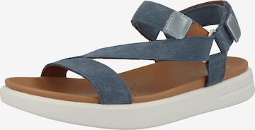 GEOX Sandalen met riem in Blauw: voorkant