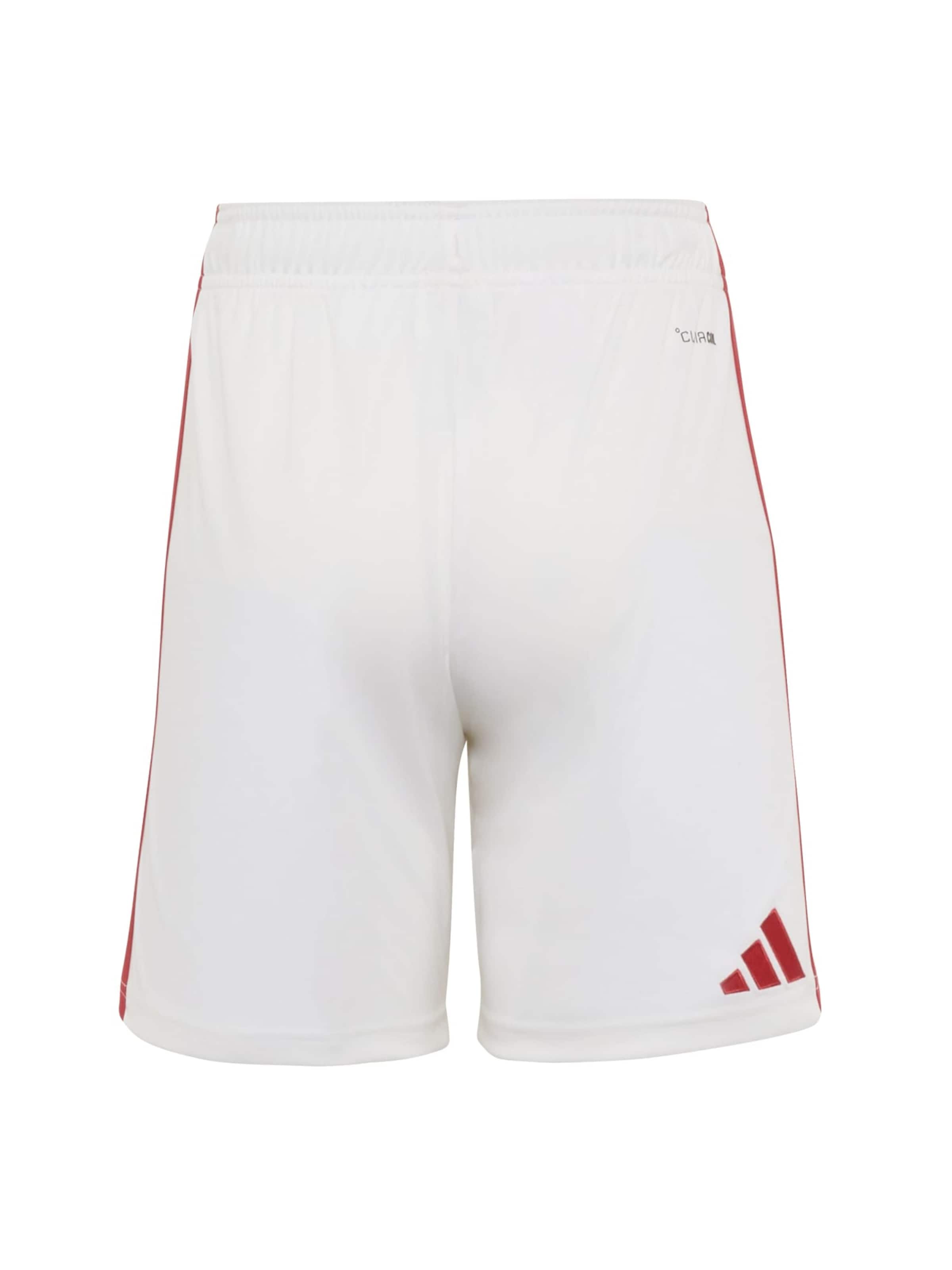 ADIDAS PERFORMANCE Обычный Спортивные штаны 'KOE H' в Белый