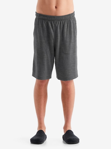 ICEBREAKER Regular Sportshorts in Grau