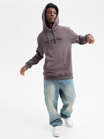 hydroponic - Sudadera 'Hydroponic Regular-Fit Brand Embroidered Hoodie' en gris
