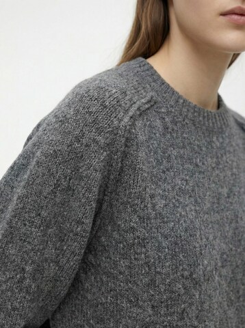 pilka studioselect Megztinis 'Robin'