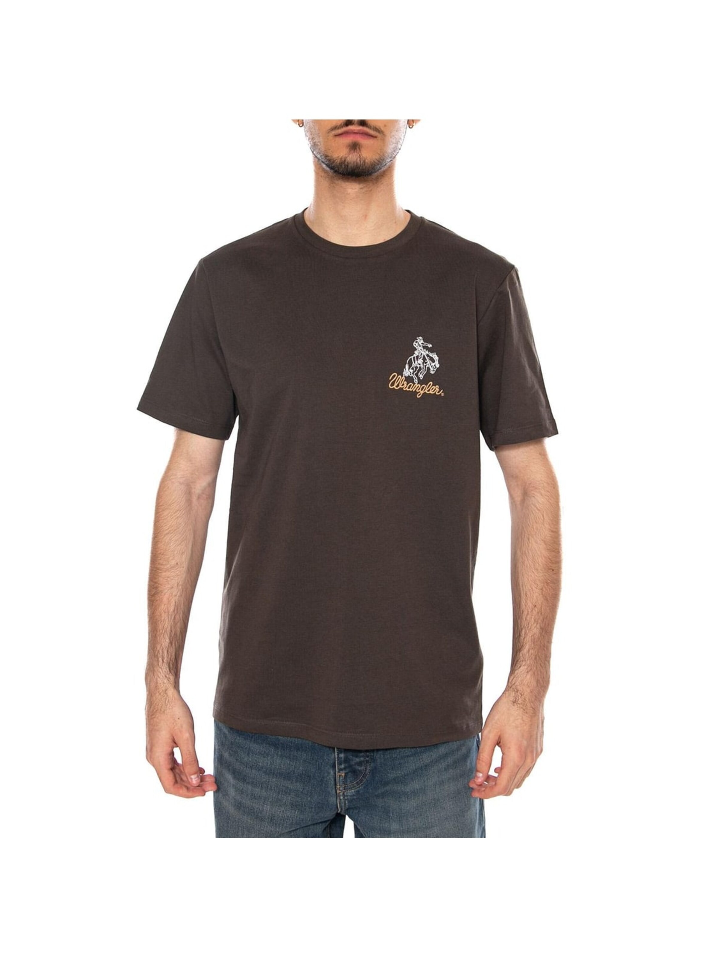 T-Shirt 'EMBROIDERY TEE WREN BROWN' WRANGLER en marron : devant