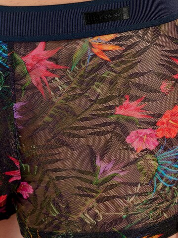 Boxers ' Exotica ' HOM en mélange de couleurs