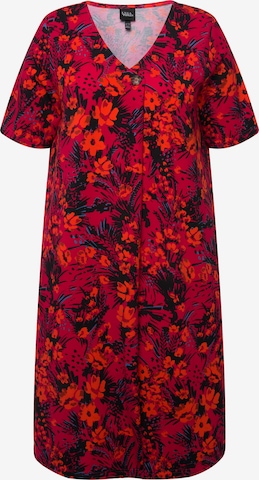 Ulla Popken Kleid in Weiß: Vorderseite