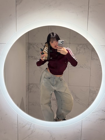 ADIDAS ORIGINALS Dressipluus 'Firebird' Classic', värv punane