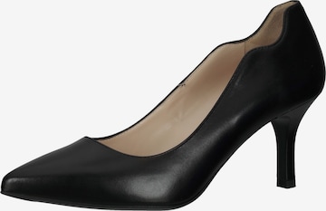 Nero Giardini Pumps in Schwarz: predná strana