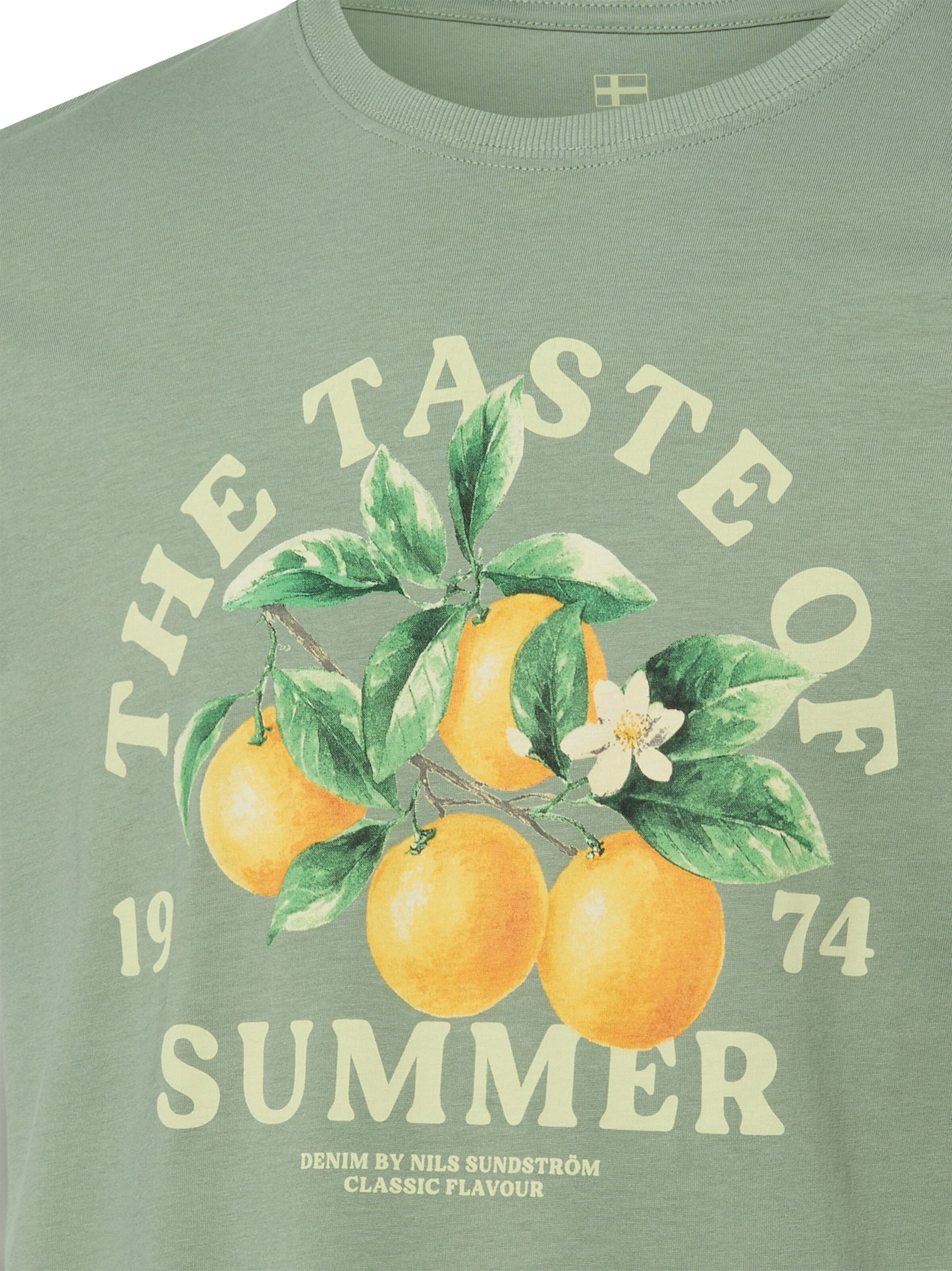 Nils Sundström Shirt in Green