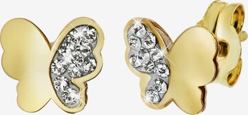 Lucardi Jewelry 'Klassisch' in Gold: front