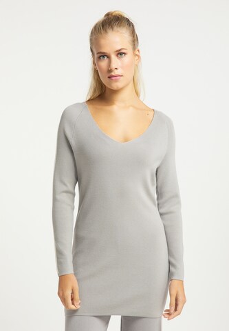 Pull-over usha BLUE LABEL en gris : devant