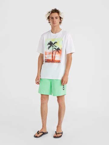 Shorts de bain 'Cali' O'NEILL en vert