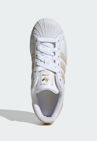 Baskets basses 'Superstar II' ADIDAS ORIGINALS en blanc